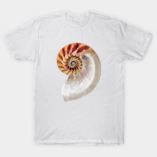 Nautilus Shell T-Shirt